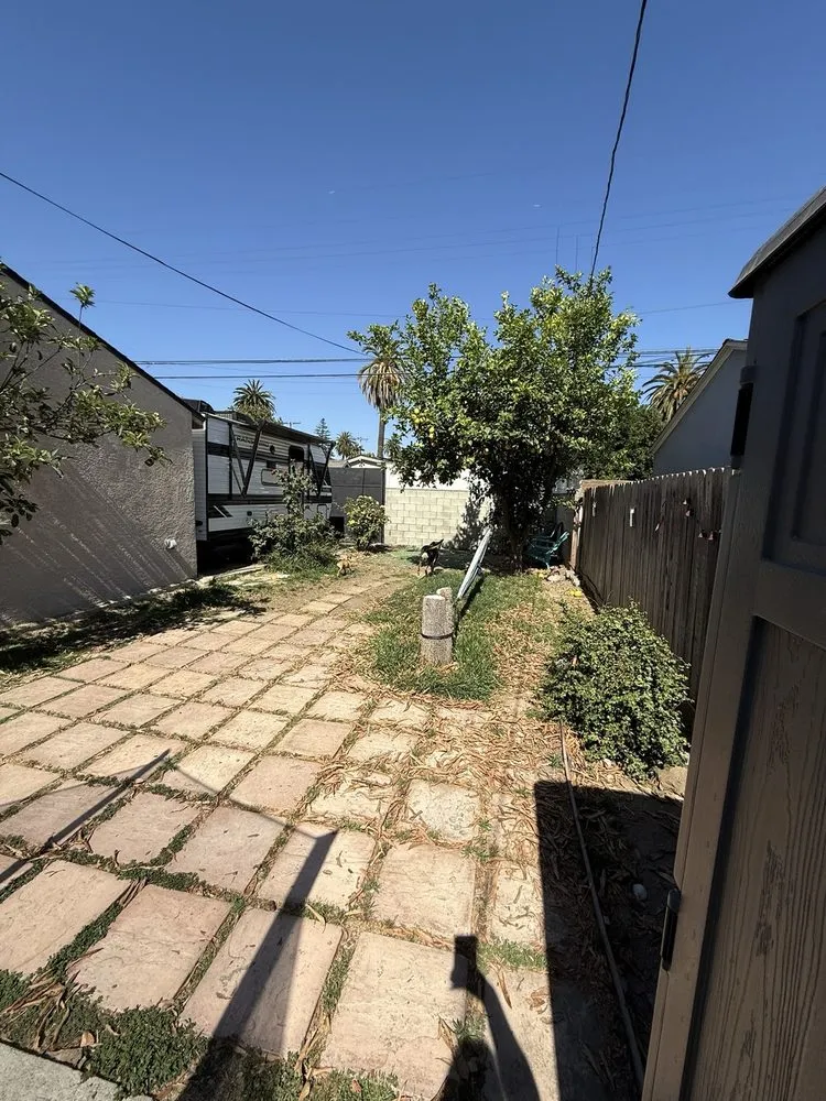 Trusted lawn care service in Long Beach, CA - MA landscaping