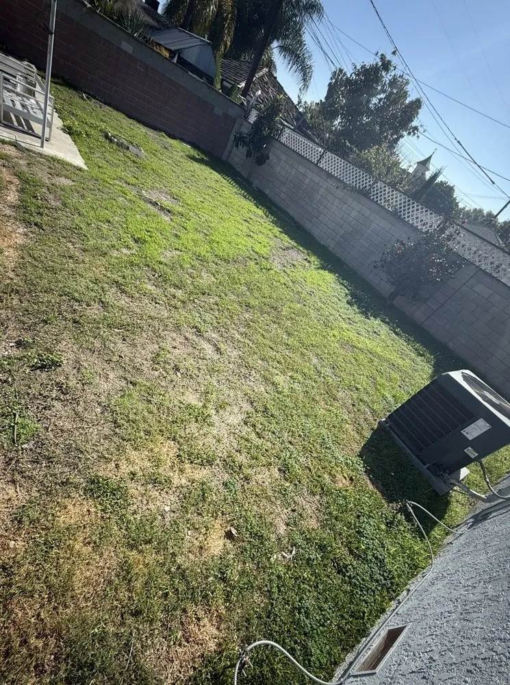 Custom outdoor landscaping for year-round maintenance in Long Beach, CA by MA landscaping