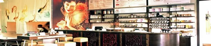 Top-rated lawn care service experts serving Long Beach, CA - MA landscaping