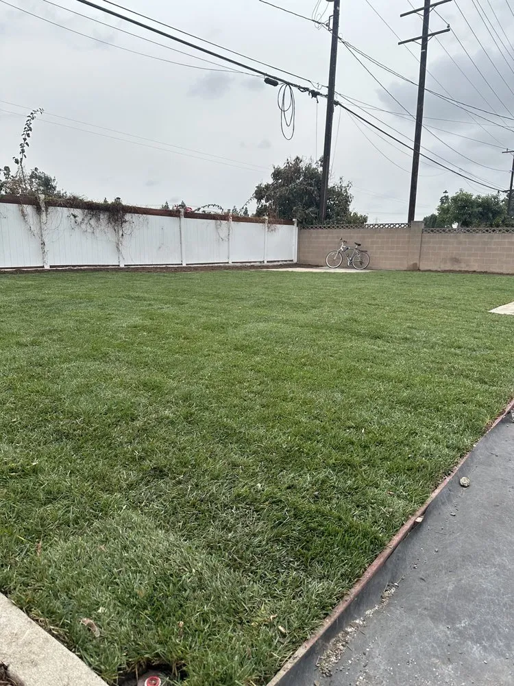 Affordable lawn mowing service in Long Beach, CA by MA landscaping