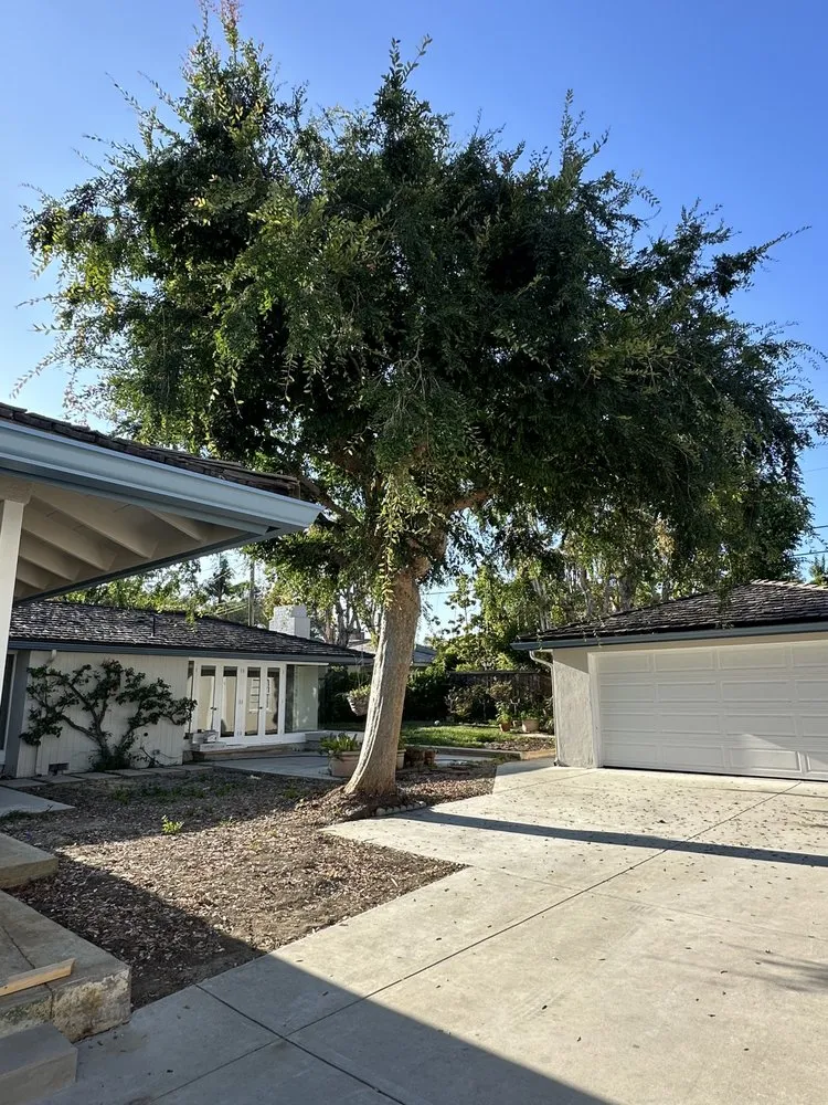 Affordable lawn mowing service for year-round maintenance in Long Beach, CA by MA landscaping