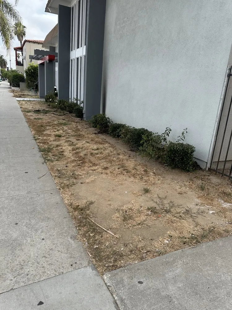 Reliable garden landscaping for residential properties across Long Beach, CA - MA landscaping