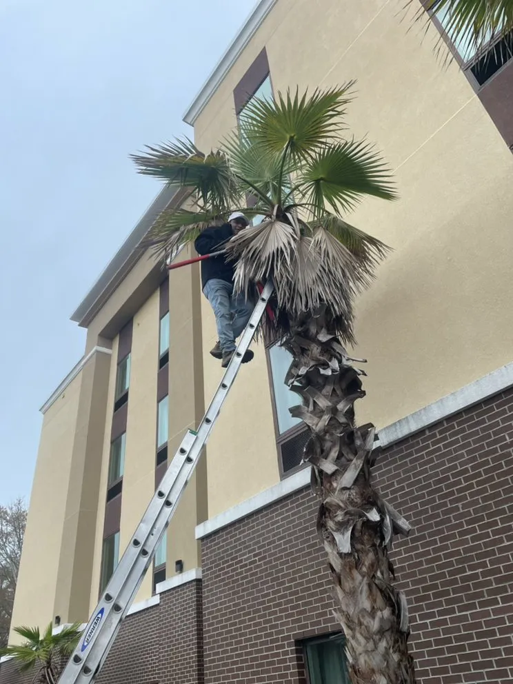 Top-rated yard cleanup service in Niceville, FL by M&A Landscaping