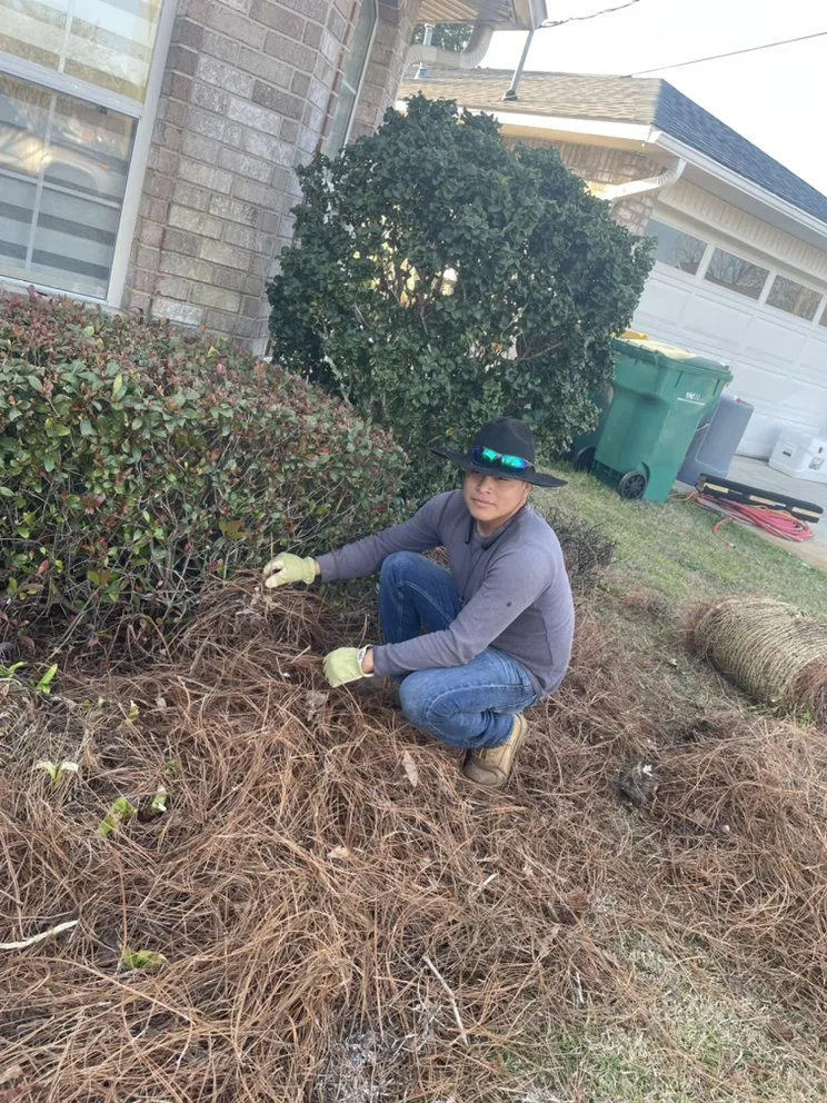 Local landscaping services for year-round maintenance across Niceville, FL - M&A Landscaping