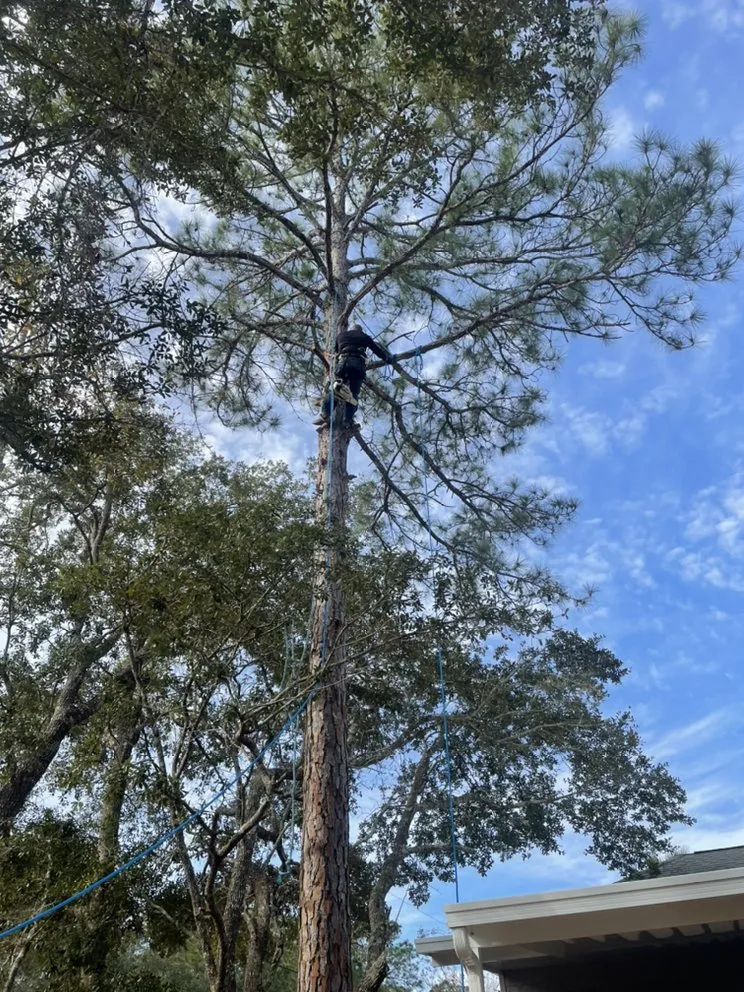 Custom landscaping services for beautiful yards across Niceville, FL - M&A Landscaping