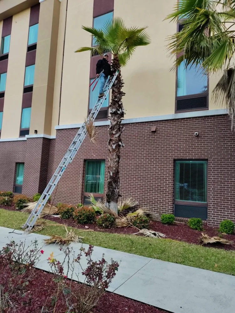 Top-rated yard maintenance for beautiful yards across Niceville, FL - M&A Landscaping