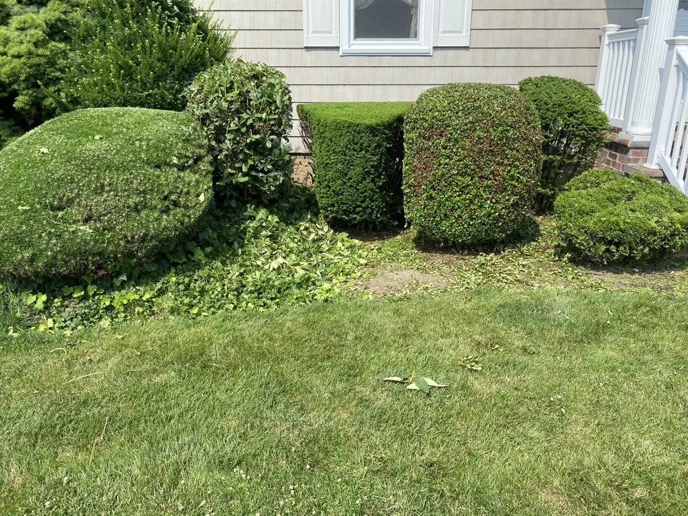 Expert garden landscaping in Westbury, NY - M&A Landscaping