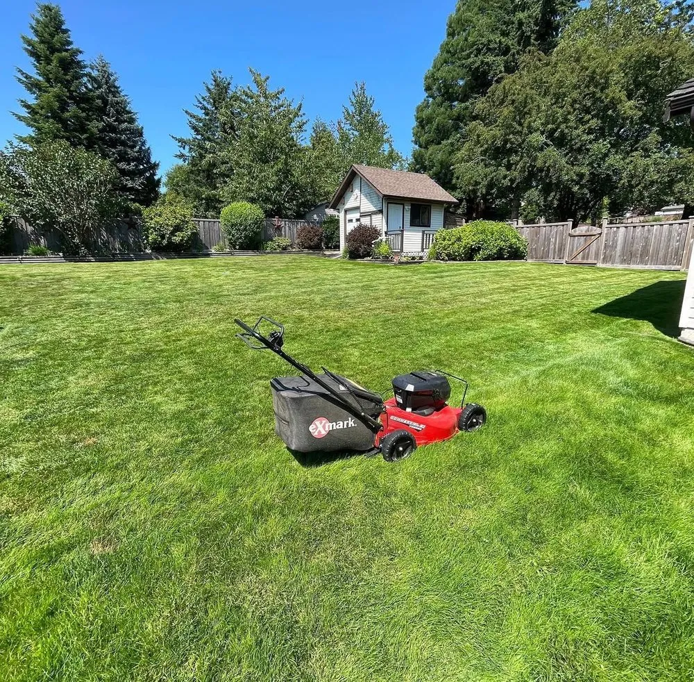 Professional yard maintenance for residential properties in Cedar Park, TX by MA Lawncare