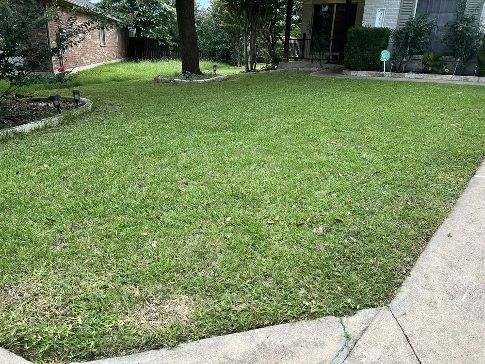 Professional yard maintenance for year-round maintenance in Cedar Park, TX by MA Lawncare