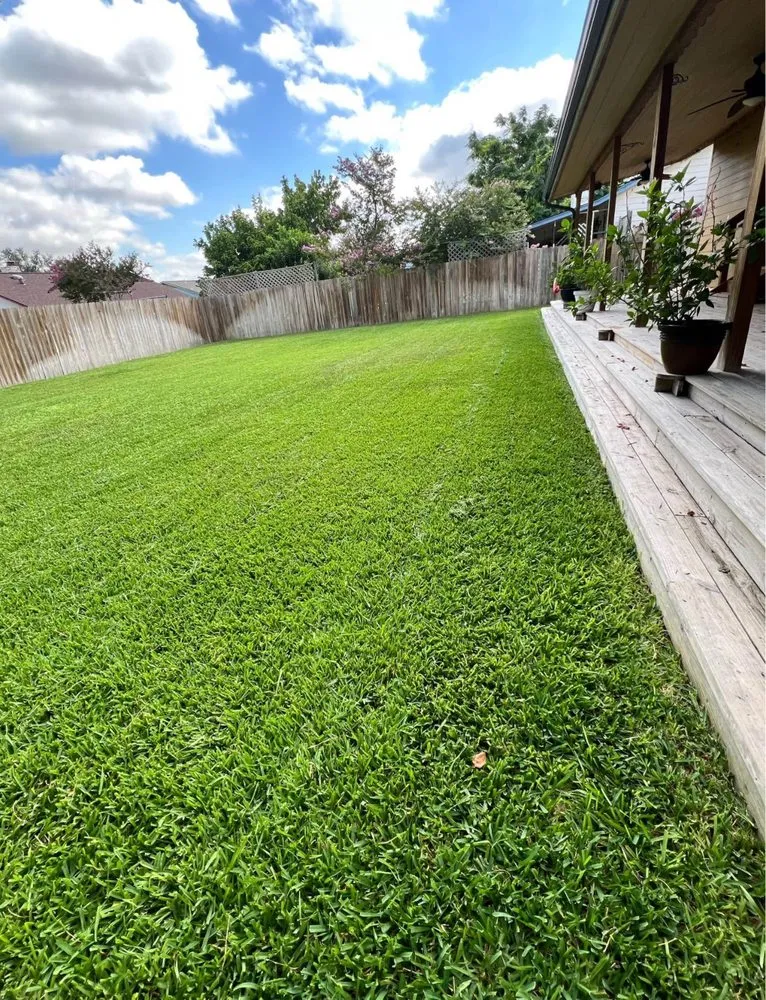 Professional outdoor landscaping in Cedar Park, TX by MA Lawncare
