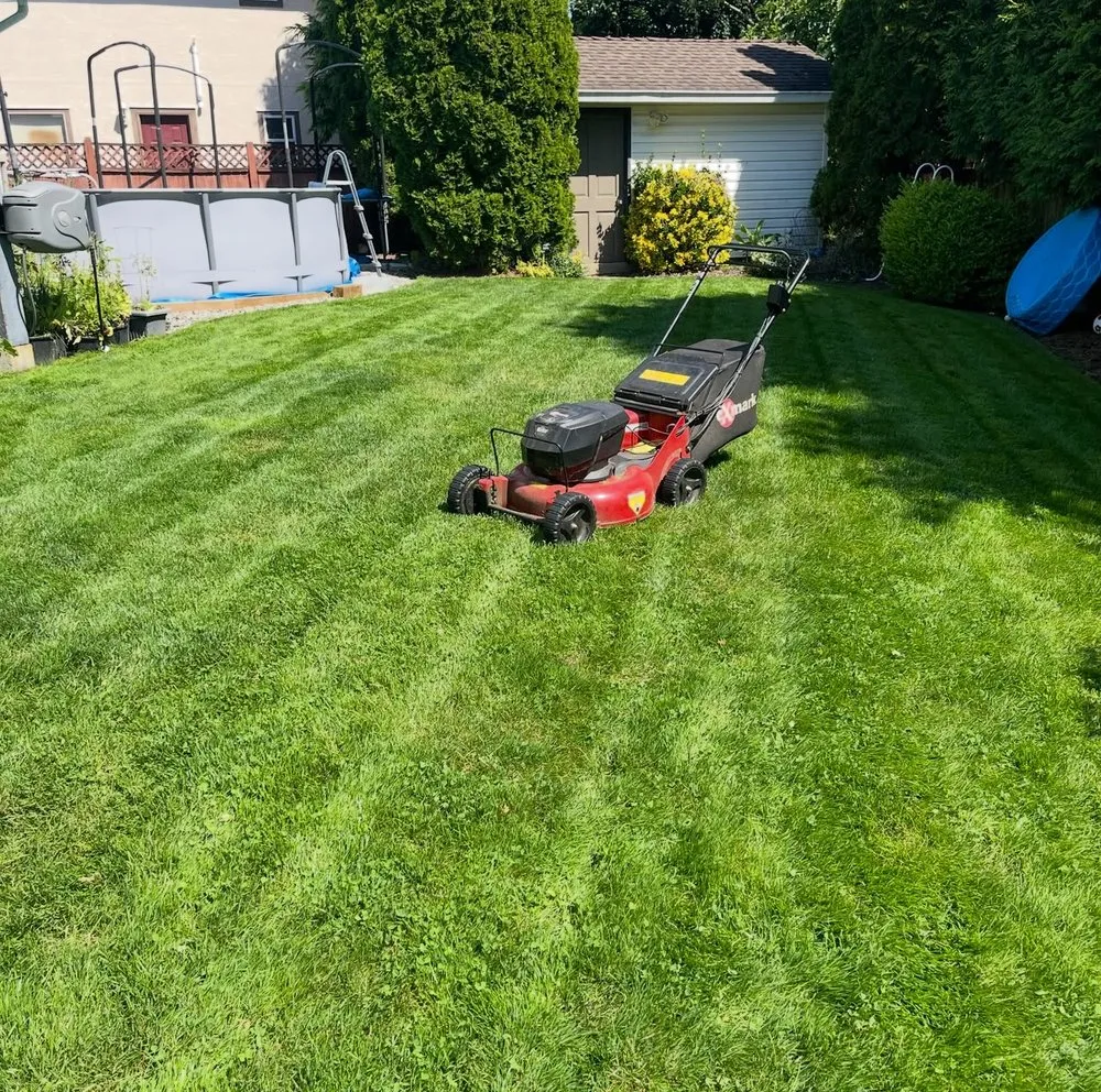 Trusted lawn mowing service experts serving Cedar Park, TX - MA Lawncare