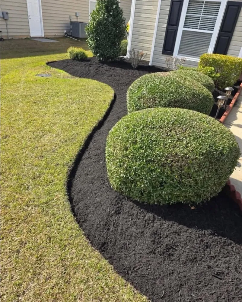 Affordable yard cleanup service for beautiful yards across Cedar Park, TX - MA Lawncare