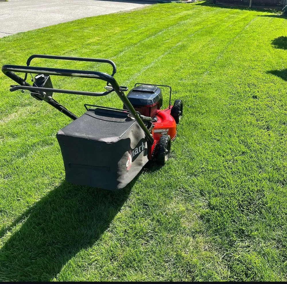 Affordable outdoor landscaping experts serving Cedar Park, TX - MA Lawncare