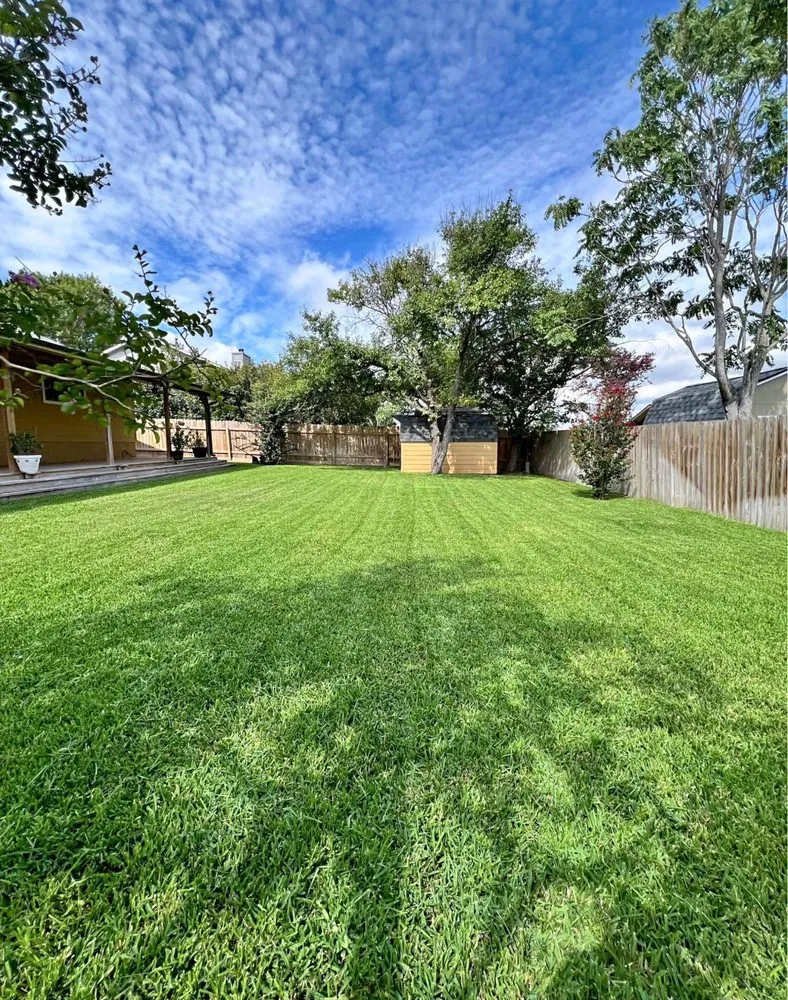 Top-rated yard maintenance experts serving Cedar Park, TX - MA Lawncare