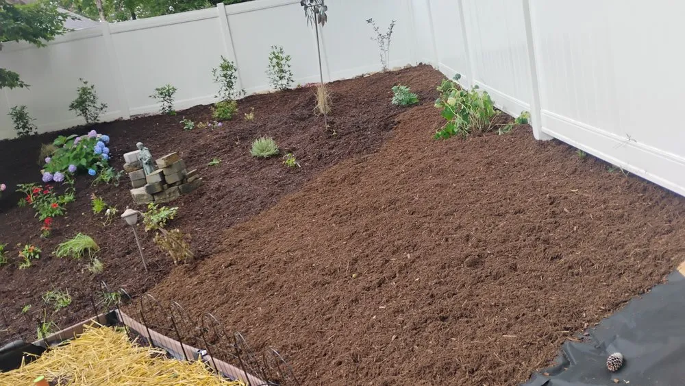 Reliable landscape installation experts serving Lexington, SC - M&A Lawncare