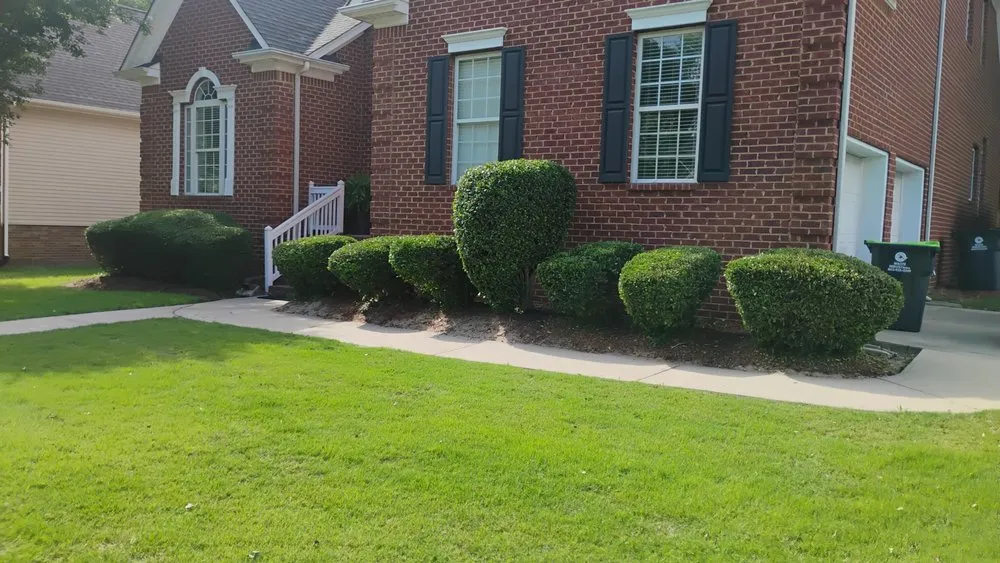 Trusted yard cleanup service in Lexington, SC - M&A Lawncare