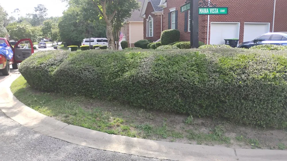 Professional landscaping services for year-round maintenance in Lexington, SC by M&A Lawncare