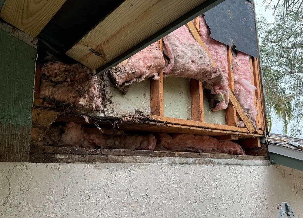 Affordable yard cleanup service in Clermont, FL by Ma Maison Marcellus