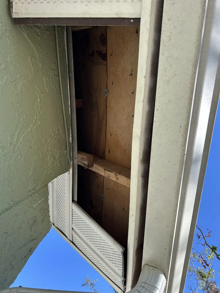 Local yard cleanup service for outdoor upgrades across Clermont, FL - Ma Maison Marcellus