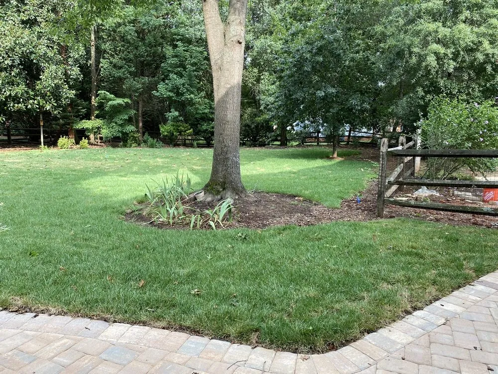 Reliable lawn care service near you in Waxhaw, NC by Ma Outdoor Services