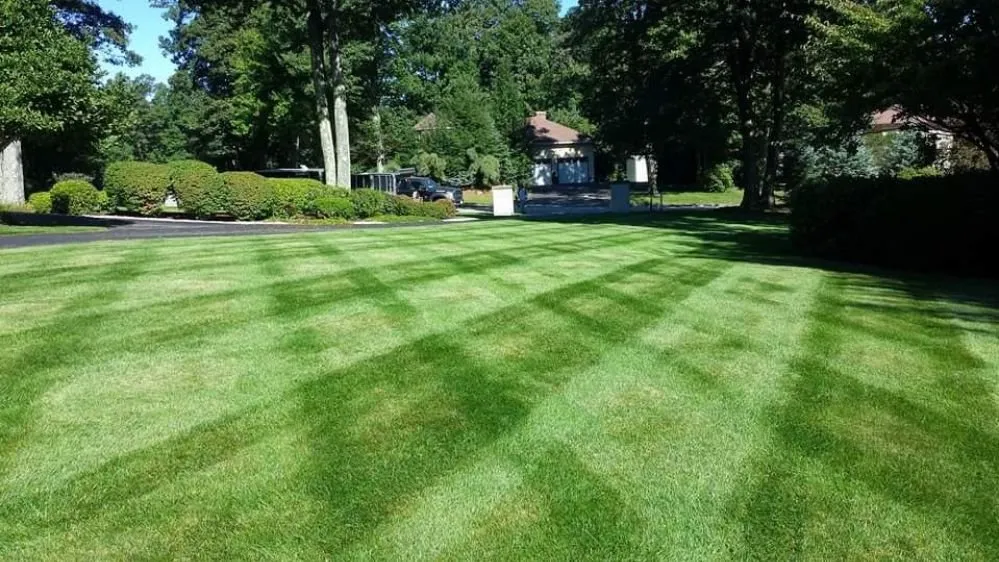 Local landscape design for beautiful yards in Paxton, MA by M&A Property Maintenance