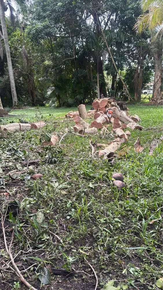 Top-rated garden landscaping experts serving Fort Lauderdale, FL - M&A Tree and Lawn Service