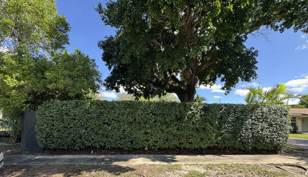 Affordable garden landscaping with custom design in Fort Lauderdale, FL by M&A Tree and Lawn Service