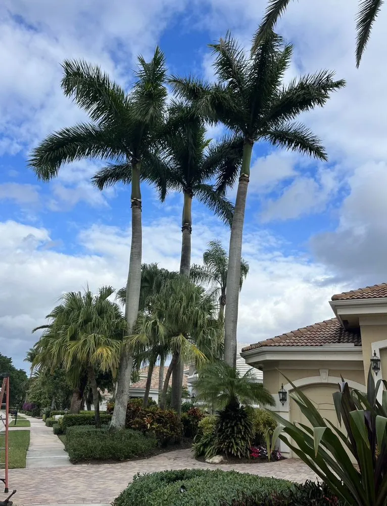 Top-rated lawn mowing service in Fort Lauderdale, FL - M&A Tree and Lawn Service