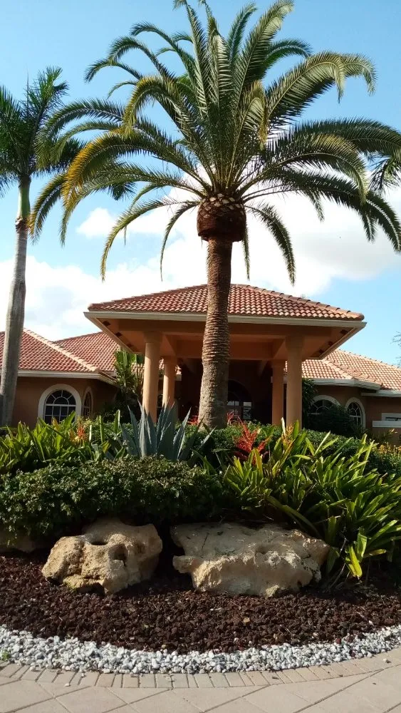 Expert outdoor landscaping in Fort Lauderdale, FL - M&A Tree and Lawn Service