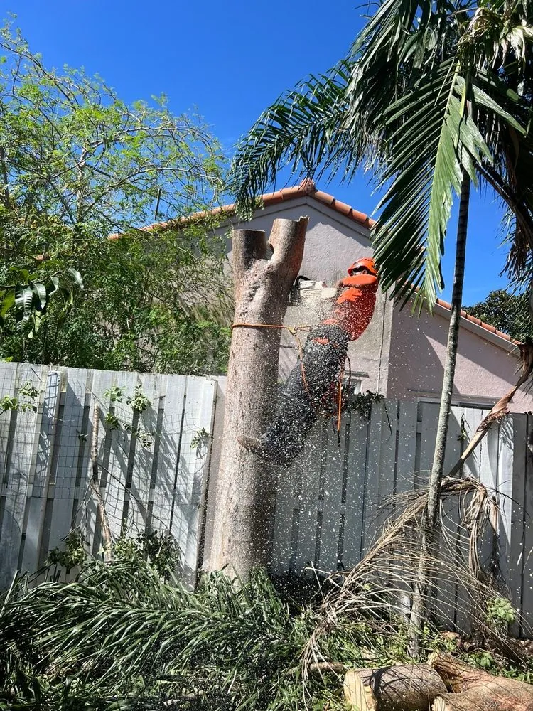 Affordable garden landscaping with custom design across Fort Lauderdale, FL - M&A Tree and Lawn Service