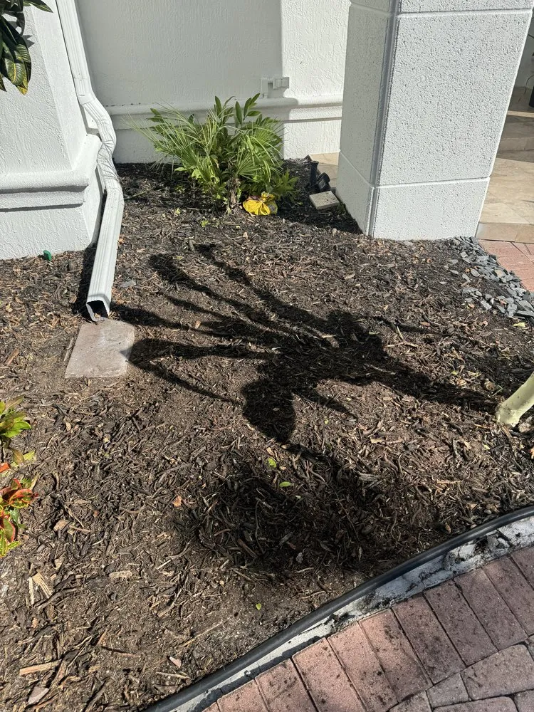 Custom landscaping services in Fort Lauderdale, FL by M&A Tree and Lawn Service