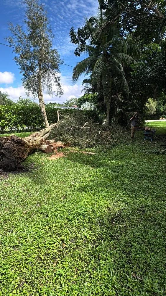Expert landscaping services in Fort Lauderdale, FL - M&A Tree and Lawn Service