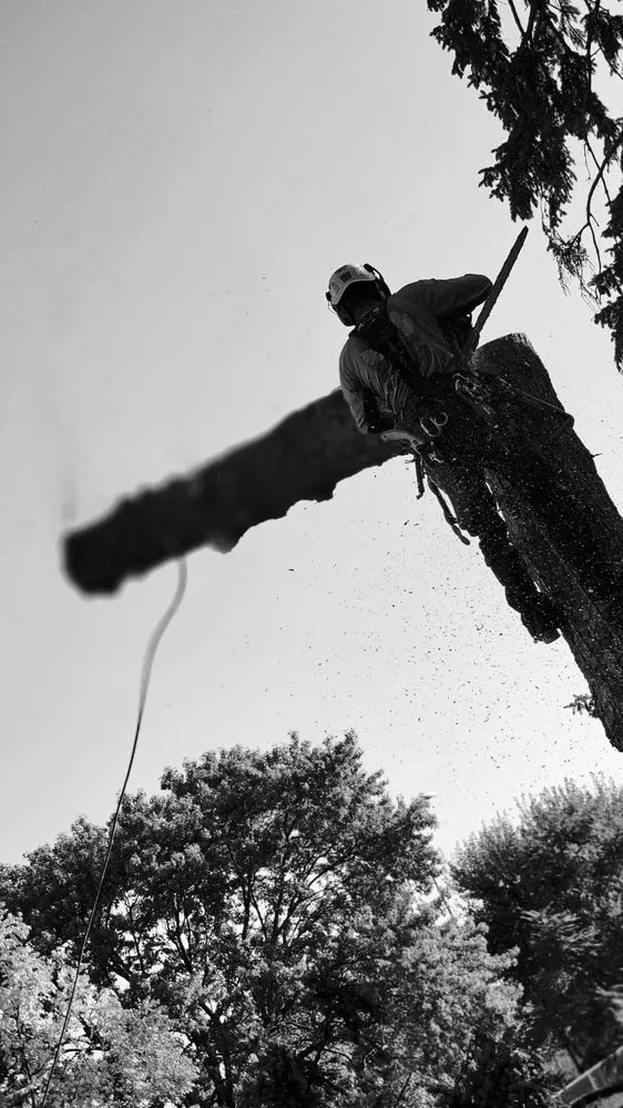 Reliable landscaping services for beautiful yards across Bellevue, NE - M&A Tree Service And Landscaping