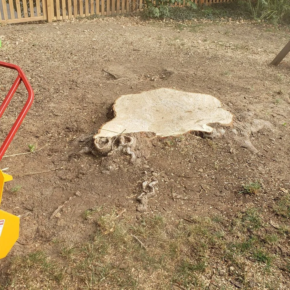 Custom lawn care service for year-round maintenance across Bellevue, NE - M&A Tree Service And Landscaping