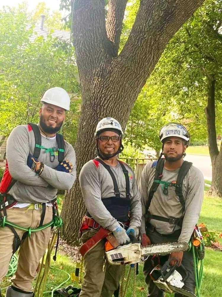 Reliable yard maintenance experts serving Bellevue, NE - M&A Tree Service And Landscaping