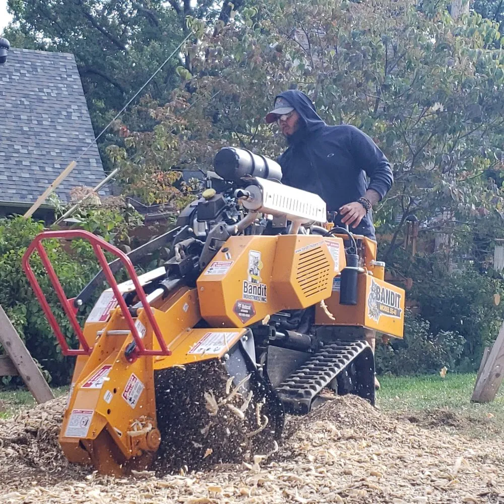 Affordable yard maintenance in Bellevue, NE - M&A Tree Service And Landscaping