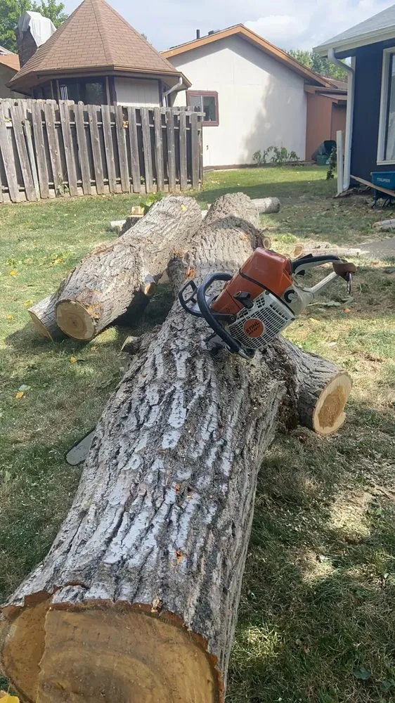 Trusted landscape design for year-round maintenance across Bellevue, NE - M&A Tree Service And Landscaping