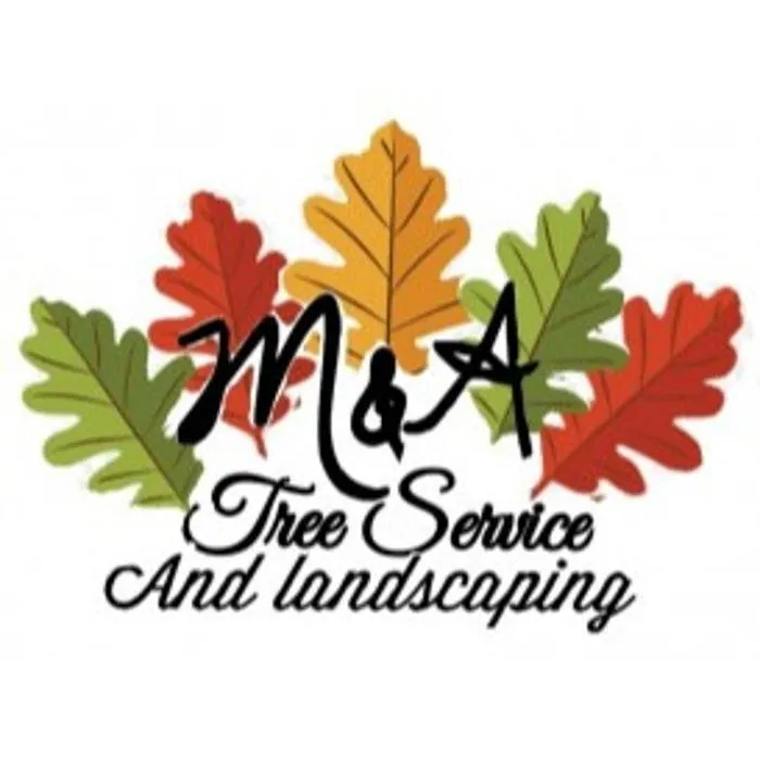 Top-rated outdoor landscaping in Bellevue, NE - M&A Tree Service And Landscaping