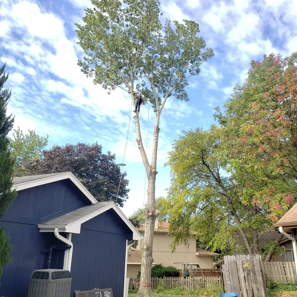 Expert residential landscaping in Bellevue, NE - M&A Tree Service And Landscaping