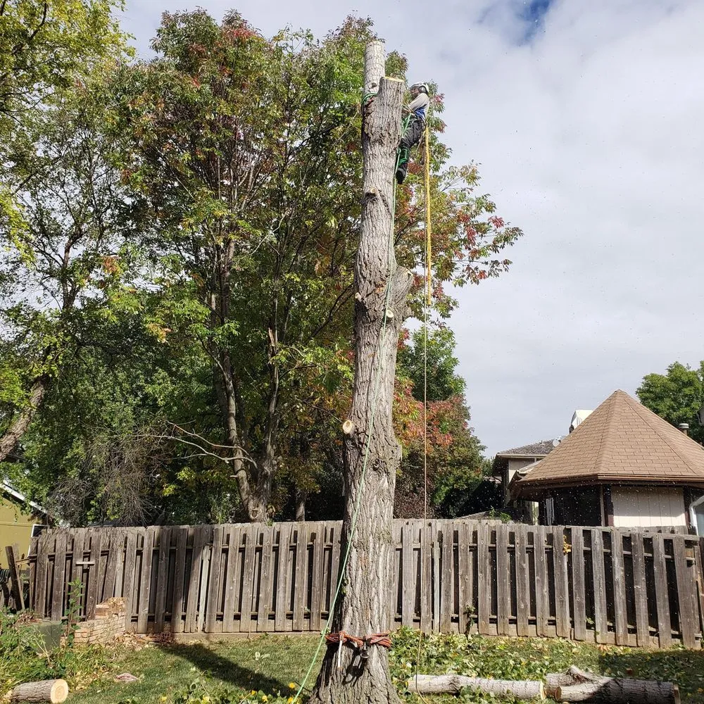 Professional yard cleanup service in Bellevue, NE - M&A Tree Service And Landscaping