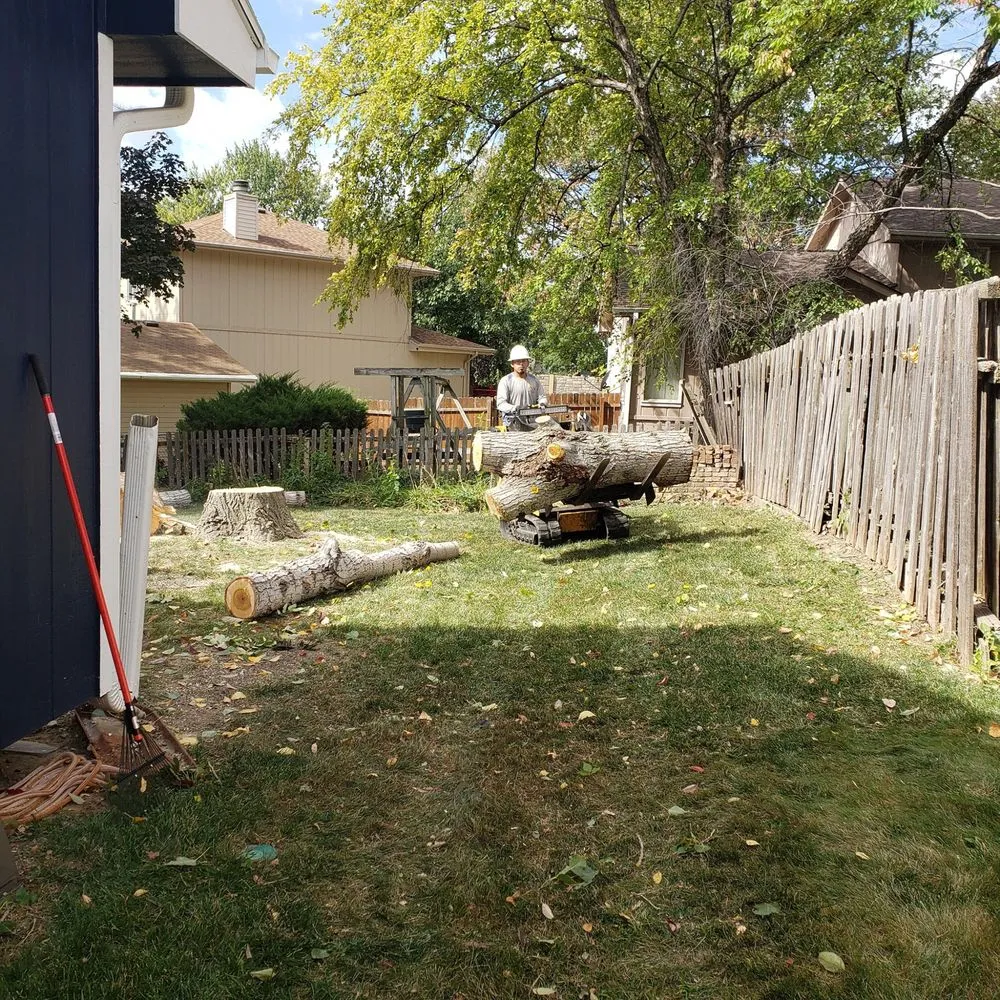 Professional yard cleanup service for outdoor upgrades across Bellevue, NE - M&A Tree Service And Landscaping