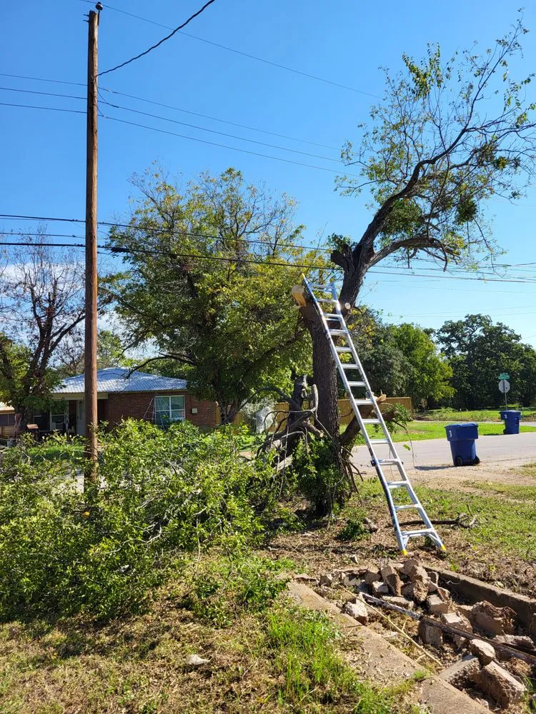 Affordable landscape installation for beautiful yards across Brownwood, TX - M&A Yardwork