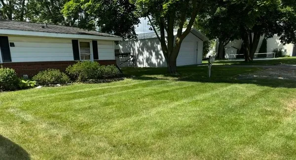 Maagnificent Lawn Care