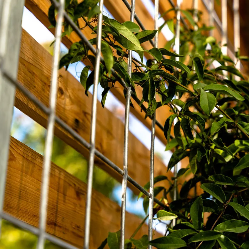 Expert lawn mowing service for residential properties across Austin, TX - Maas Verde Landscape Restoration