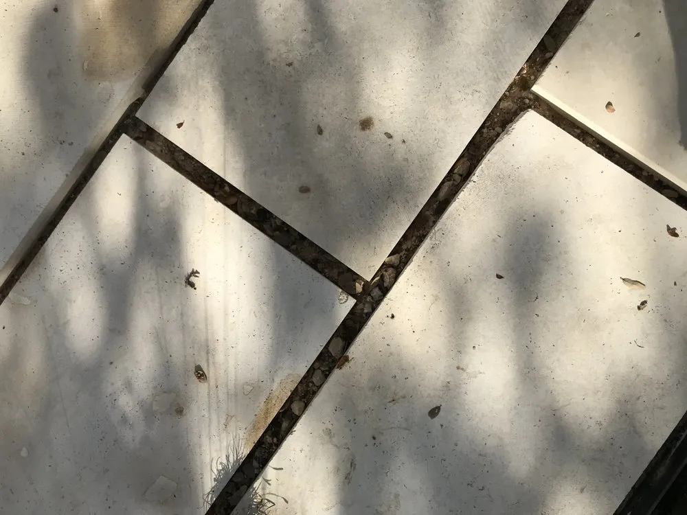 Trusted outdoor landscaping for homes across Austin, TX - Maas Verde Landscape Restoration