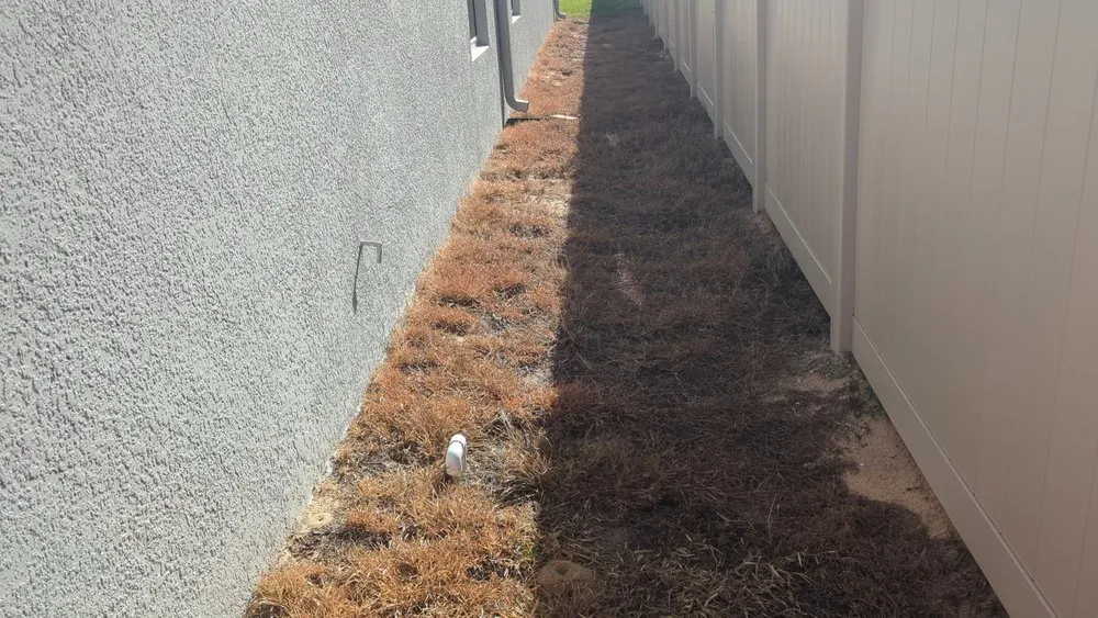 Local outdoor landscaping for beautiful yards in Winter Haven, FL by MAB Landscaping & Property Maintenance