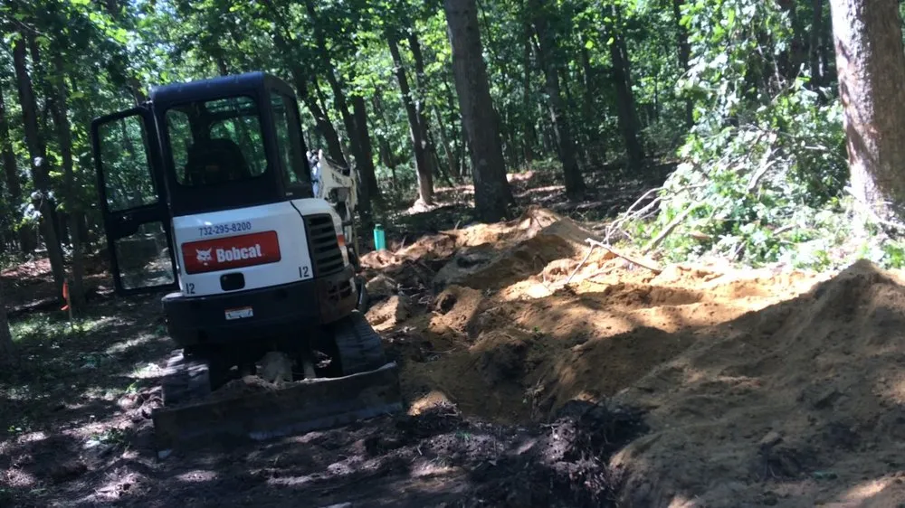 Local yard cleanup service for year-round maintenance in Wall Township, NJ by MAB Landworks