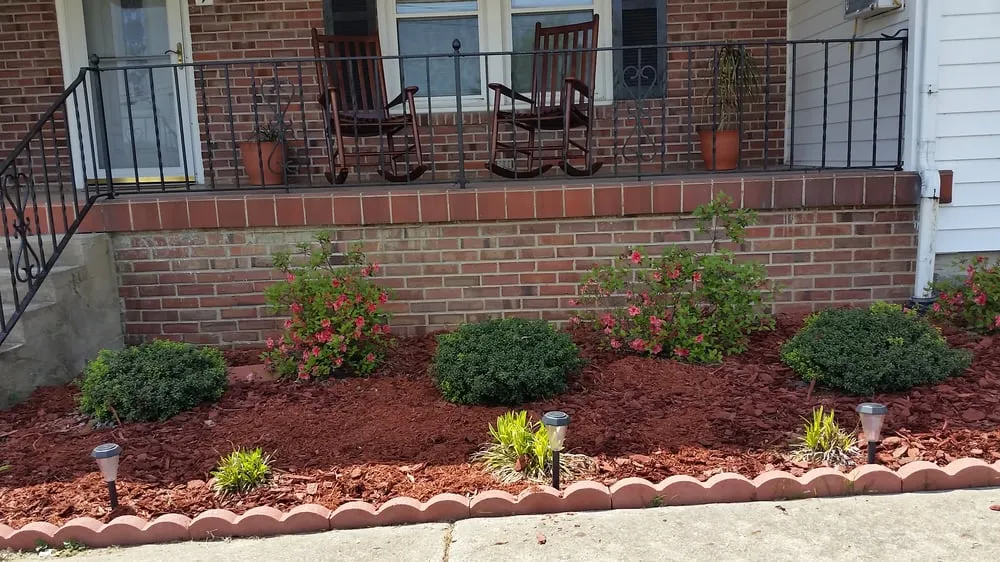 Trusted yard cleanup service in Newton Grove, NC - MAB