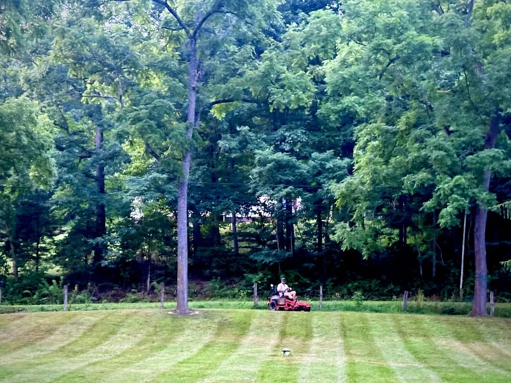 Expert residential landscaping in Fort Chiswell, VA - Mabes Landscaping
