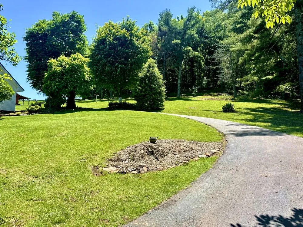 Professional yard cleanup service in Fort Chiswell, VA by Mabes Landscaping